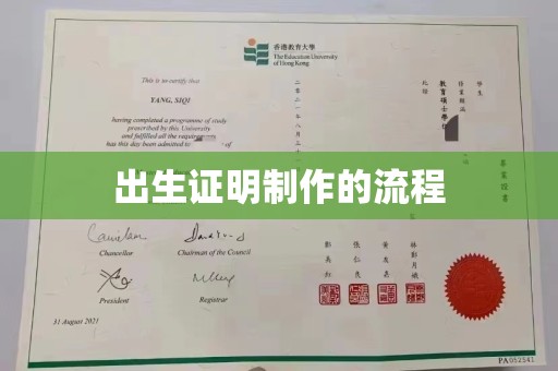 大姚出生证明制作的流程