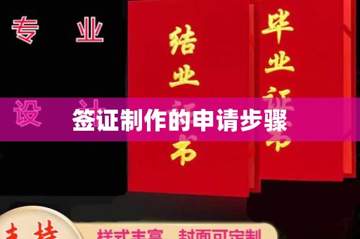 大姚签证制作的申请步骤